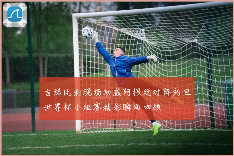 吉诺比利现场助威阿根廷对阵约旦世界杯小组赛精彩瞬间回顾