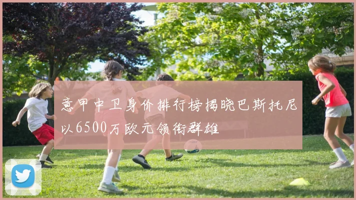 意甲中卫身价排行榜揭晓巴斯托尼以6500万欧元领衔群雄
