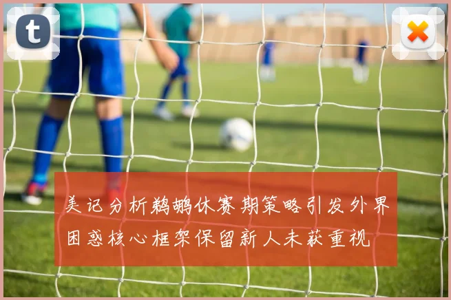 美记分析鹈鹕休赛期策略引发外界困惑核心框架保留新人未获重视